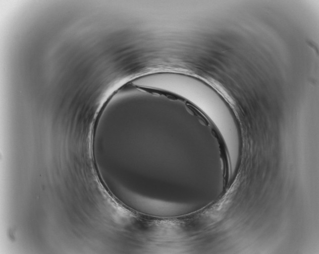 X0000095111246200712141144