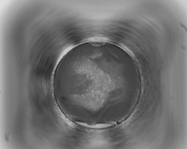 X0000095111248200712141144