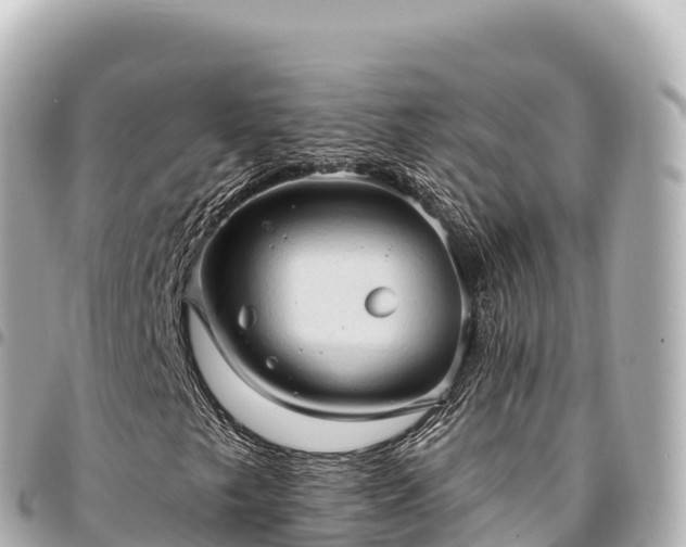 X0000095111249200712141144