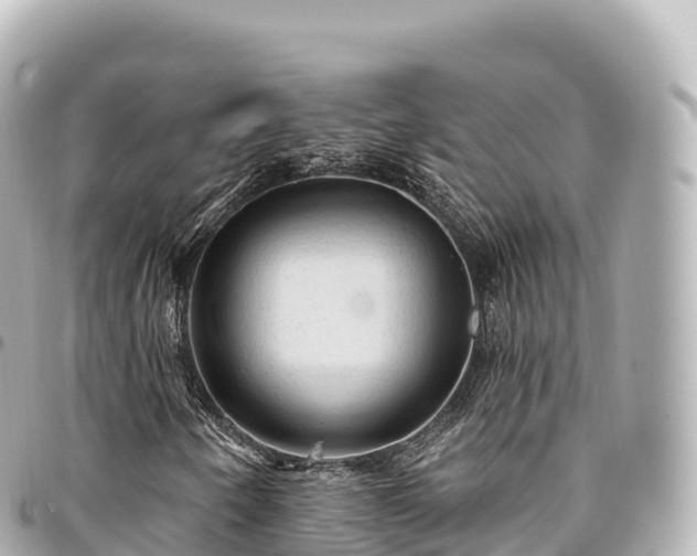 X0000095111250200712141144