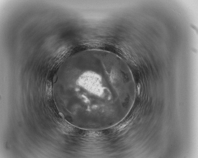 X0000095111251200712141144