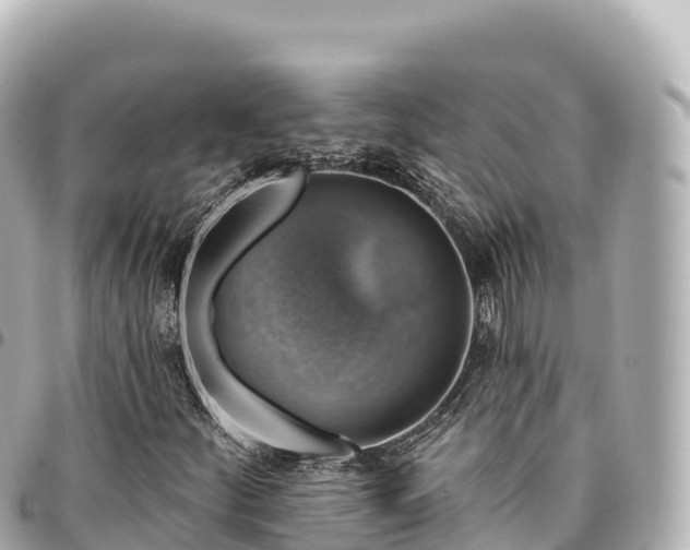 X0000095111252200712141144