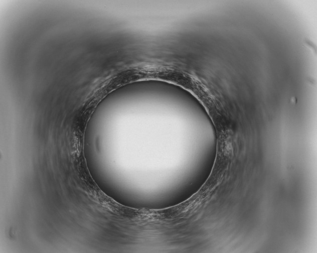 X0000095111253200712141144