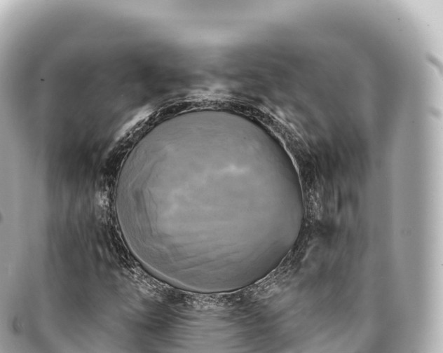 X0000095111254200712141144