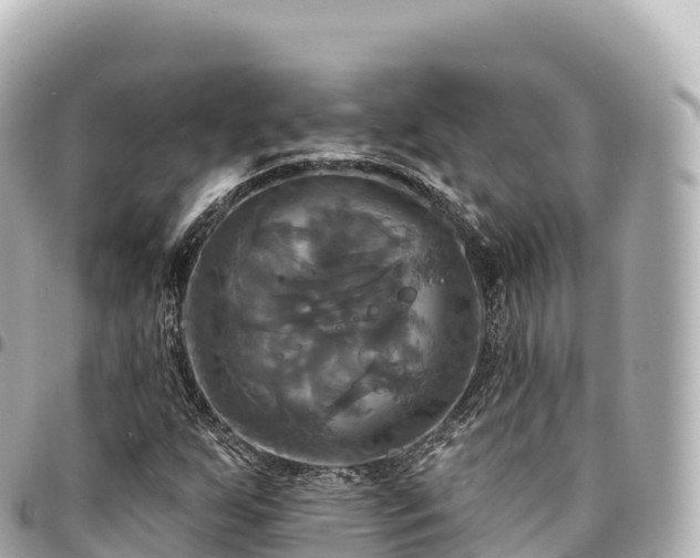 X0000095111255200712141144