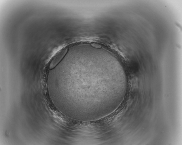 X0000095111256200712141144