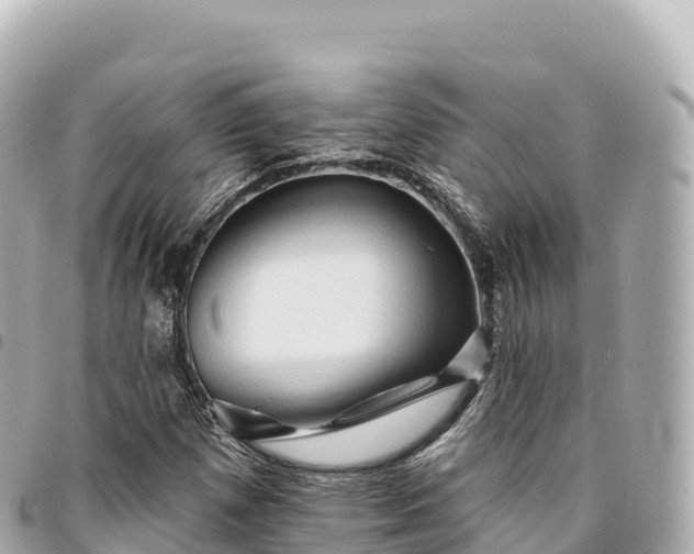 X0000095111257200712141144