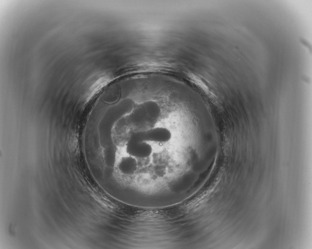 X0000095111259200712141144