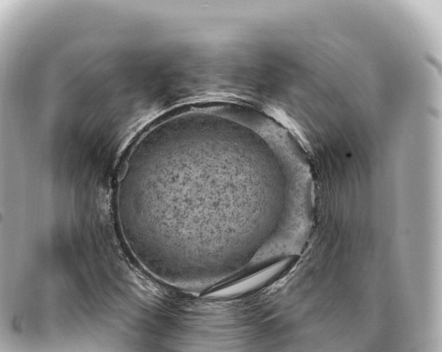 X0000095111260200712141144