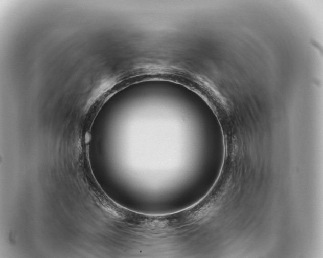 X0000095111261200712141144