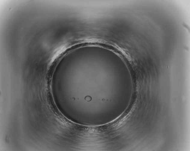 X0000095111263200712141144