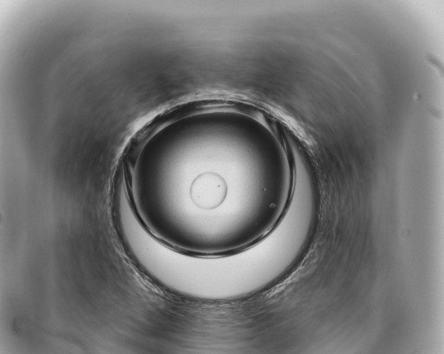 X0000095111264200712141144