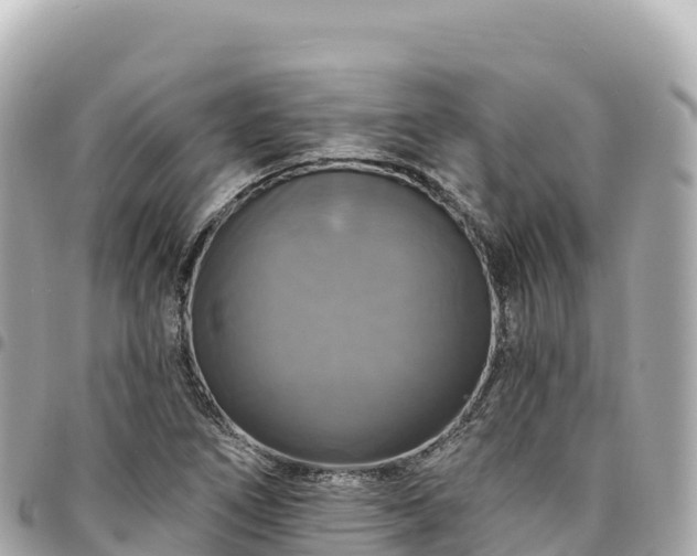 X0000095111266200712141144