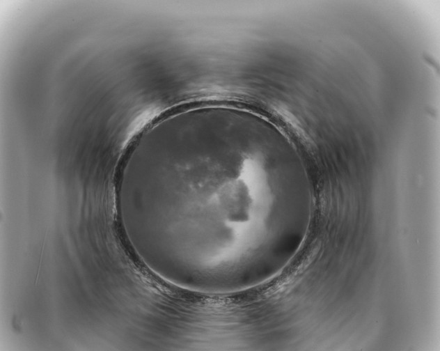 X0000095111267200712141144