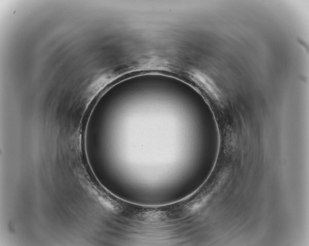 X0000095111268200712141144