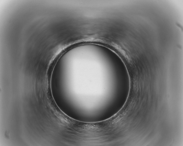 X0000095111270200712141143