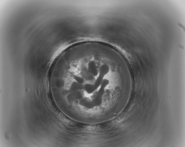 X0000095111271200712141143