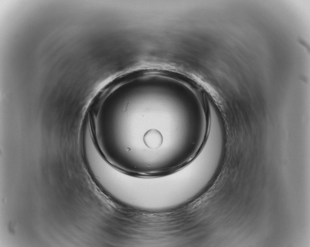 X0000095111272200712141143