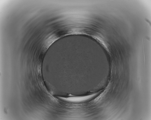 X0000095111273200712141143