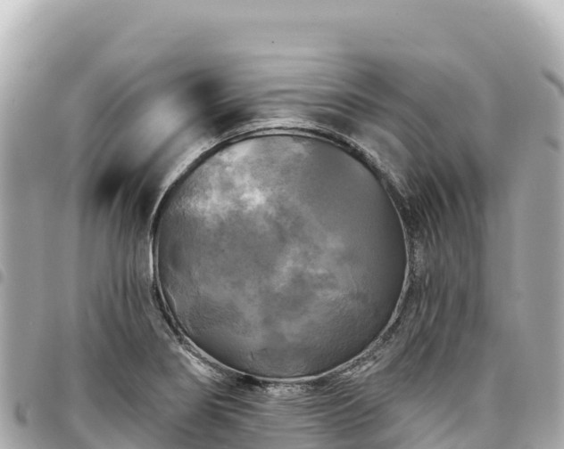 X0000095111274200712141143