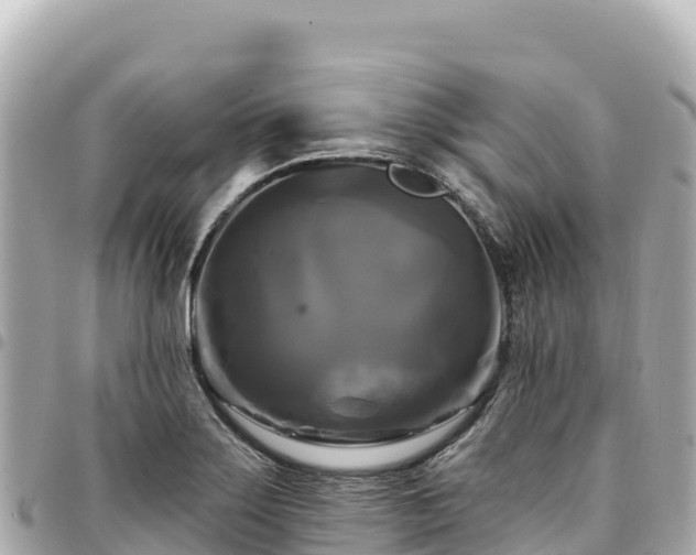 X0000095111275200712141143