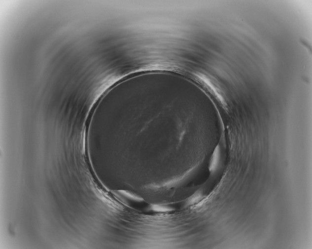 X0000095111276200712141143