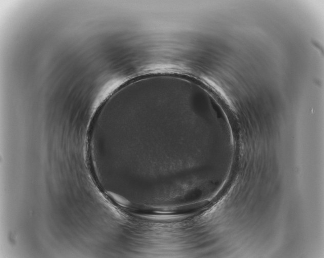 X0000095111277200712141143