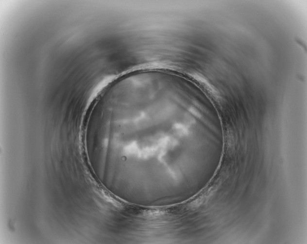 X0000095111278200712141143