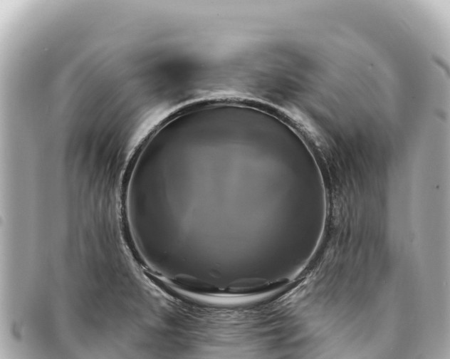 X0000095111279200712141143