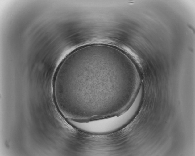 X0000095111280200712141143