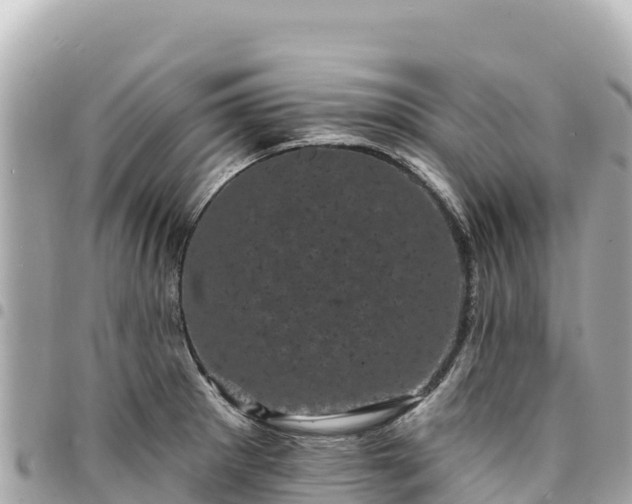 X0000095111281200712141143