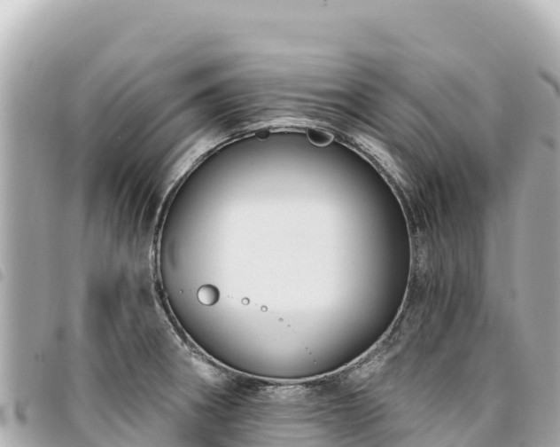 X0000095111282200712141143