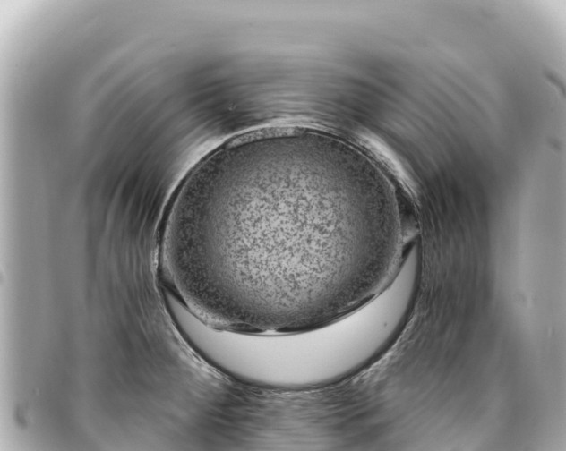 X0000095111284200712141143