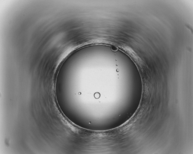 X0000095111286200712141143