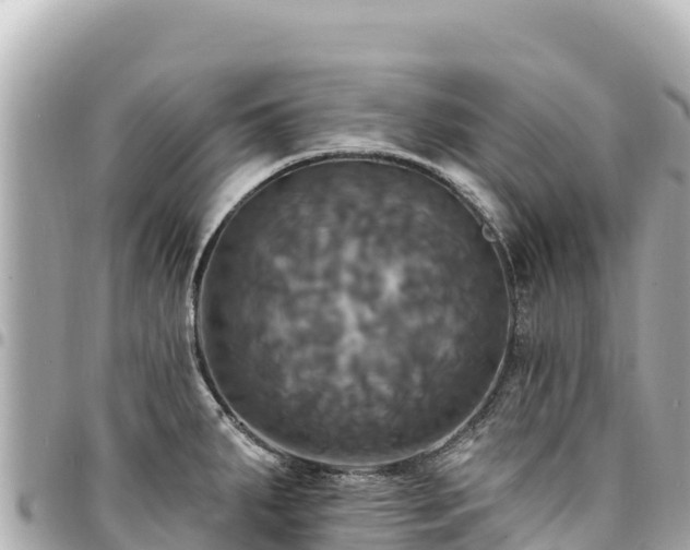 X0000095111287200712141143