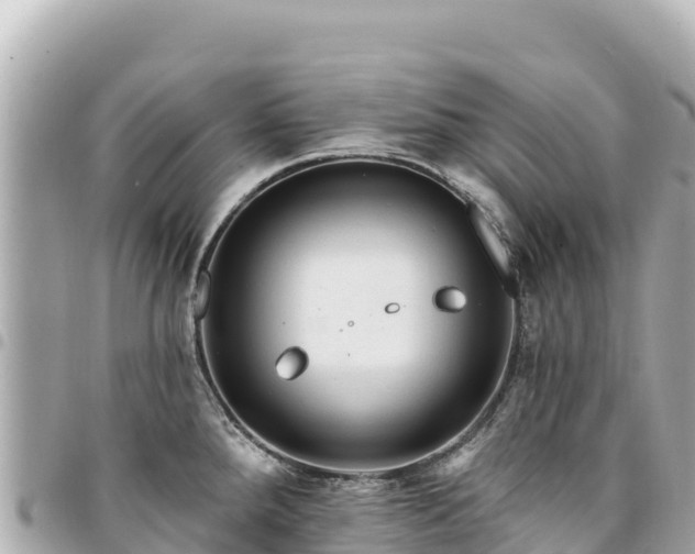 X0000095111288200712141143