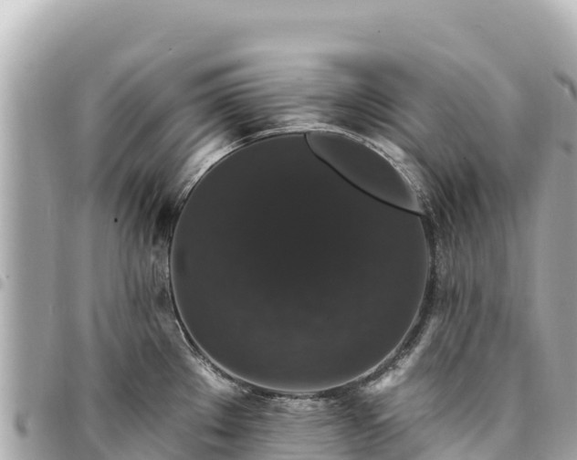 X0000095111289200712141143