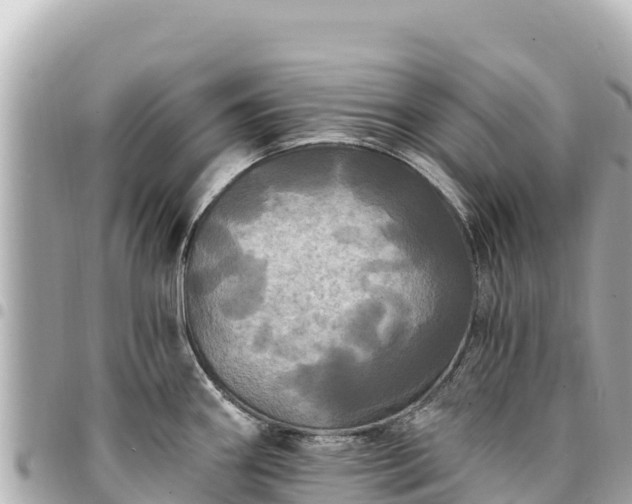 X0000095111290200712141143