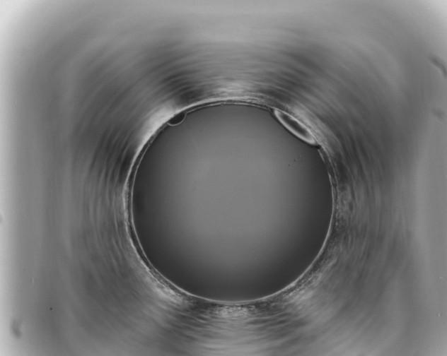 X0000095111291200712141143