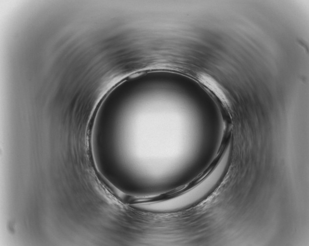 X0000095111292200712141143