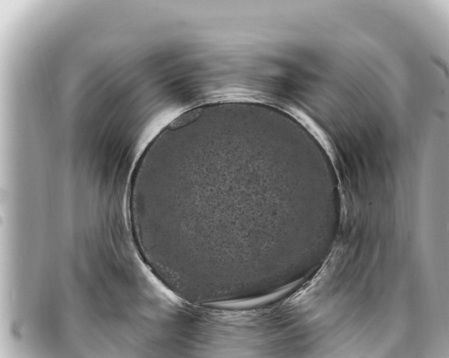 X0000095111293200712141143