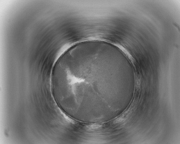 X0000095111294200712141143