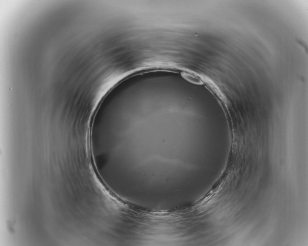 X0000095111295200712141143