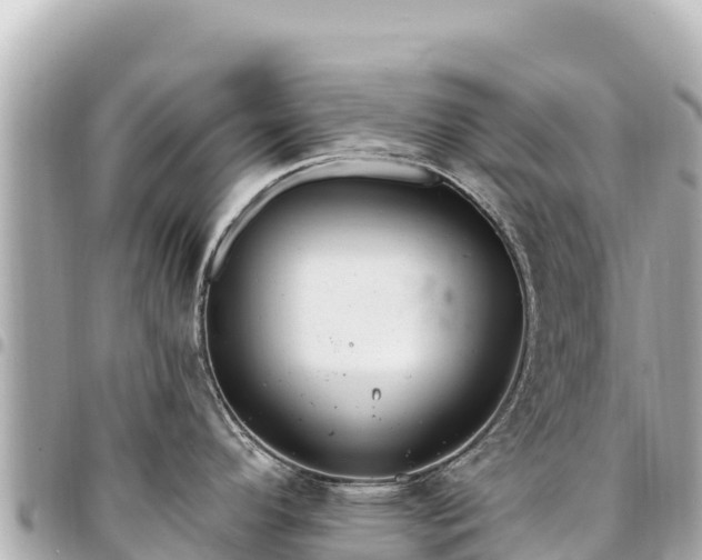 X0000095111296200712141143