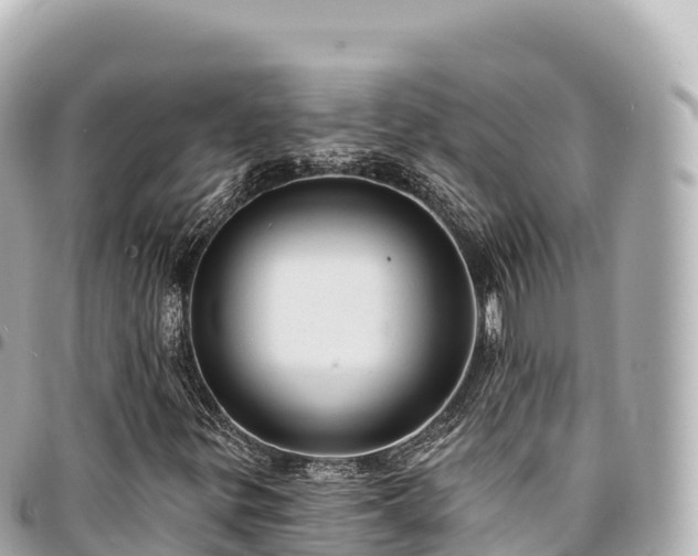 X0000095111299200712141143