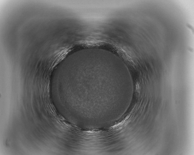 X0000095111300200712141143