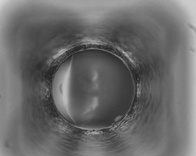 X0000095111303200712141143