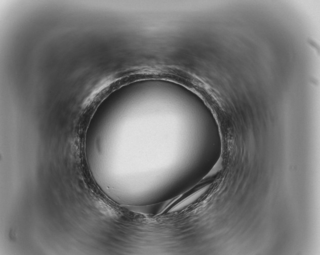 X0000095111304200712141143