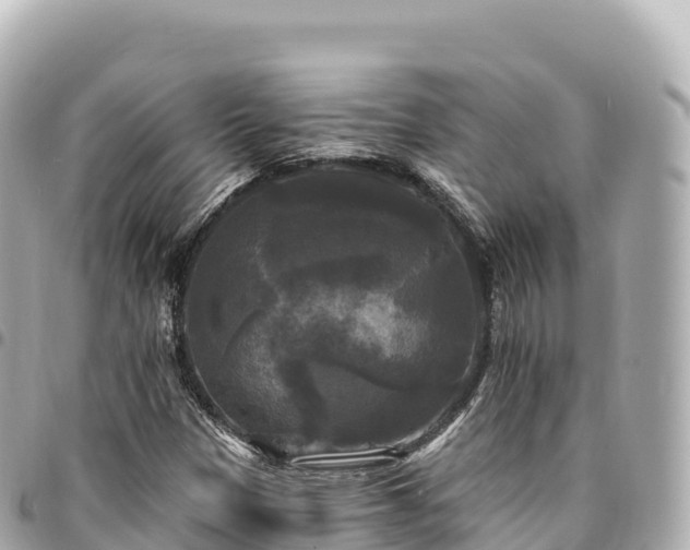 X0000095111305200712141143