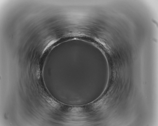 X0000095111306200712141143